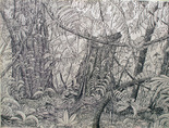 image0